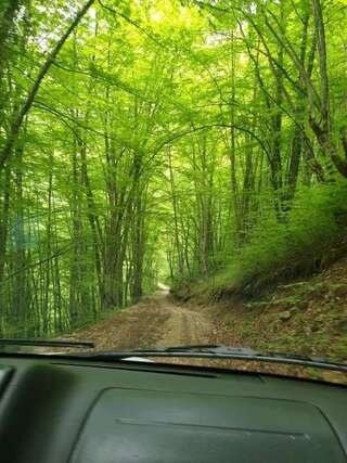 Апартаменты Apartmani Ćetković Жабляк Апартаменты-49